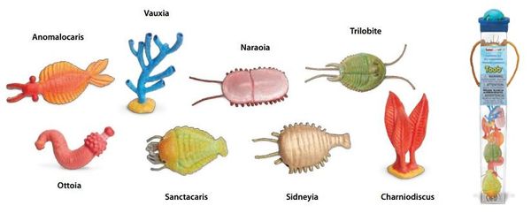 Cambrian Era Toob 