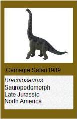 Carnegie Brachiosaurus