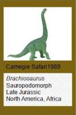 Carnegie Safari Brachiosaurus