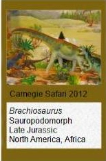 Carnegie Safari Brachiosaurus Carnegie Safari Brachiosaurus