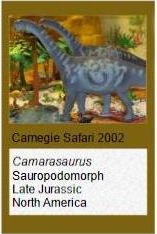 Carnegie Safari Camarasaurus