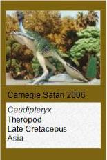 Carnegie Safari Claudyopteryx
