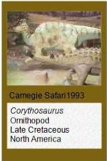 Carnegie Safari Corythosaurus