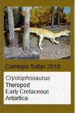 Carnegie Safari Crylolophosaurus Carnegie Safari Crylolophosaurus