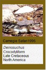 Carnegie Safari Deinosuchus