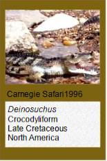 Carnegie Safari Deinosuchus Carnegie Safari Deinosuchus