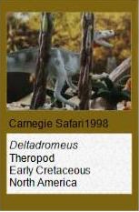 Carnegie Safari Deltadromeus
