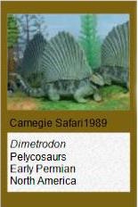 Carnegie Dimetrodon Carnegie Dimetrodon
