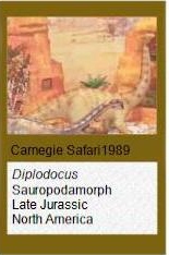 Carnegie Diolodocus Carnegie Diplodocus
