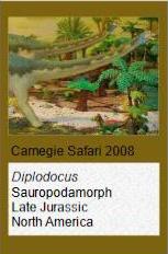 Carnegie Diolodocus Carnegie Diplodocus