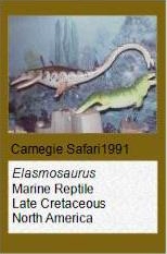 Carnegie Elasmosaurus Carnegie Elasmosaurus