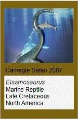 Carnegie Elasmosaurus