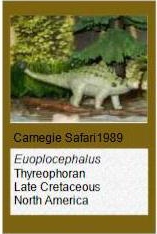 Carnegie Euplocephalus