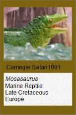 Carnegie Mosaurus