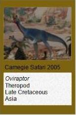 Carnegie Oviraptor