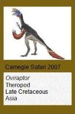 Carnegie Oviraptor