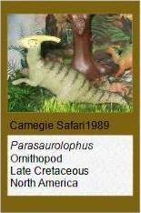 Carnegie Parasaurlophus