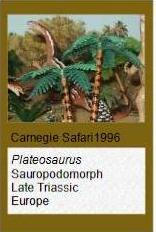 Carnegie Plateosaurus