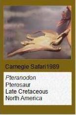 Carnegie Pteranodon Carnegie Pteranodon