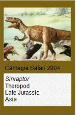 Carnegie Sinraptor