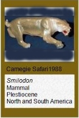 Carnegie Smilodon