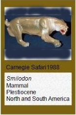 Carnegie Smilodon Carnegie Smilodon