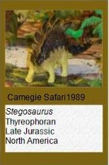 Carnegie Stegosaurus