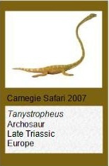 Carnegie Tanystropheus Carnegie Tanystropheus