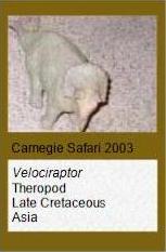 Carnegie Triceratops