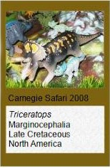 Carnegie Triceratops Carnegie Triceratops