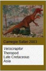 Carnegie  Velociraptor