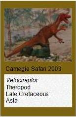 Carnegie Velociraptor