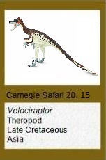 Velociraptor Velociraptor