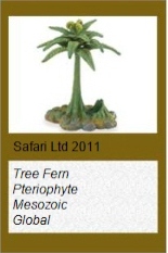 Wild Safari Tree Fern