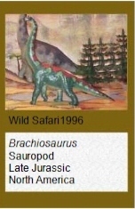 Wild Safari Brachiosaurus