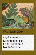 Wild Safari leptoceratops