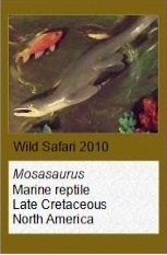Wild Safari Mosasaurus