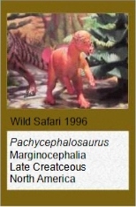 Wild Safari Pachycephalosaurus