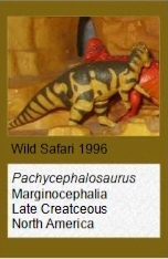 Wild Safari pachycephalosaurus