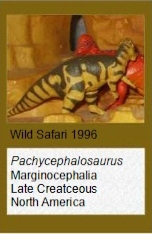 Wild Safari pachycephalosaurus
