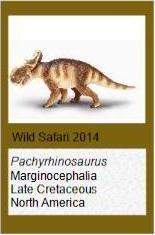 Wild Safari pachyrhinosaurus