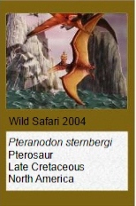 Wild Safari Pteranodon sternbergi
