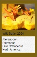 Wild Safari Pteranodon ingens