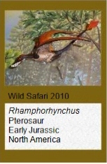 Wild Safari Rhamphorhynchus