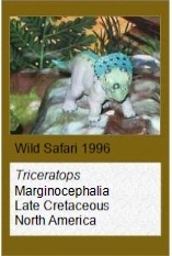 Wild Safari Triceratops