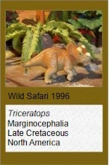 Wild Safari Triceratops