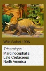 Wild Safari Triceratops