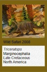 Wild Safari Triceratops