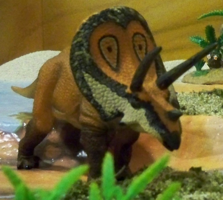 CollectA Torosaurus