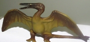 rhamphorhynchus